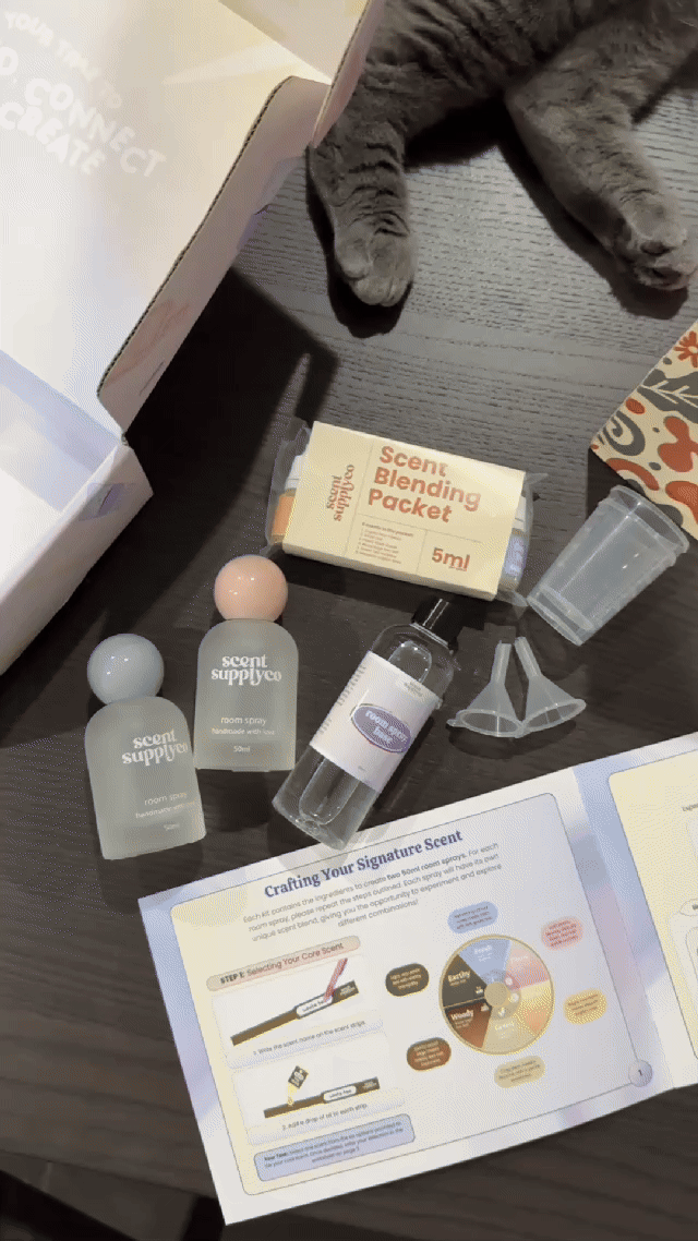 Made for Beginners ✨