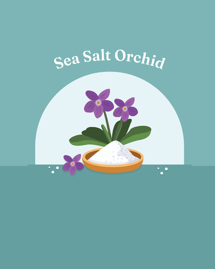 Sea Salt Orchid Candle Fragrance Oil