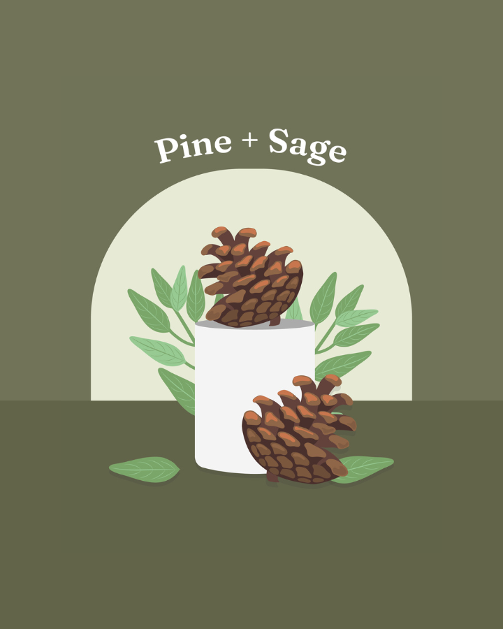 Scent Supply Pine & Sage Candle Fragrance Oil