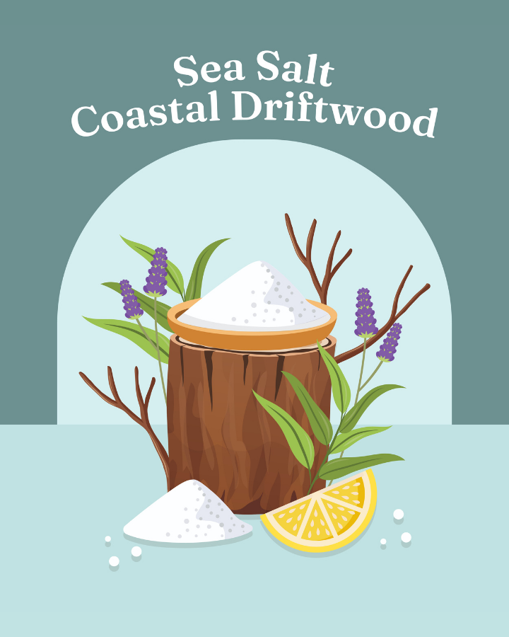 Sea Salt Coastal Driftwood Candle Fragrance Oil