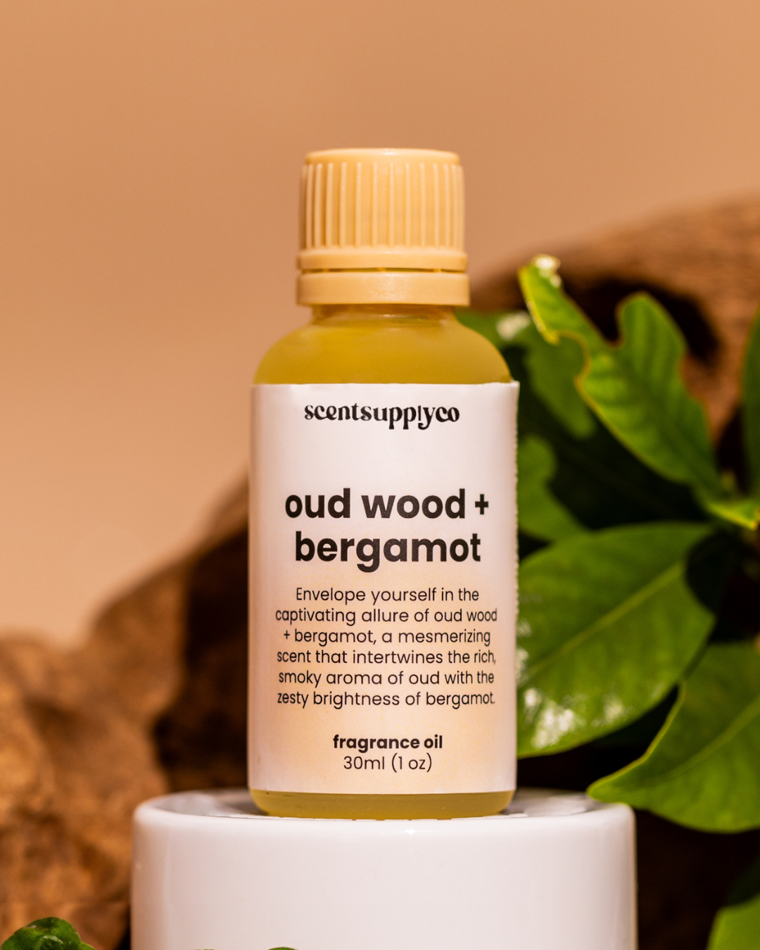 Oud Wood + Bergamot Diffuser Oil Blend